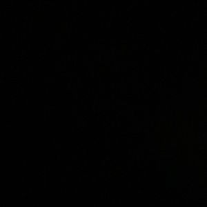 Meet your Posher, Brayden